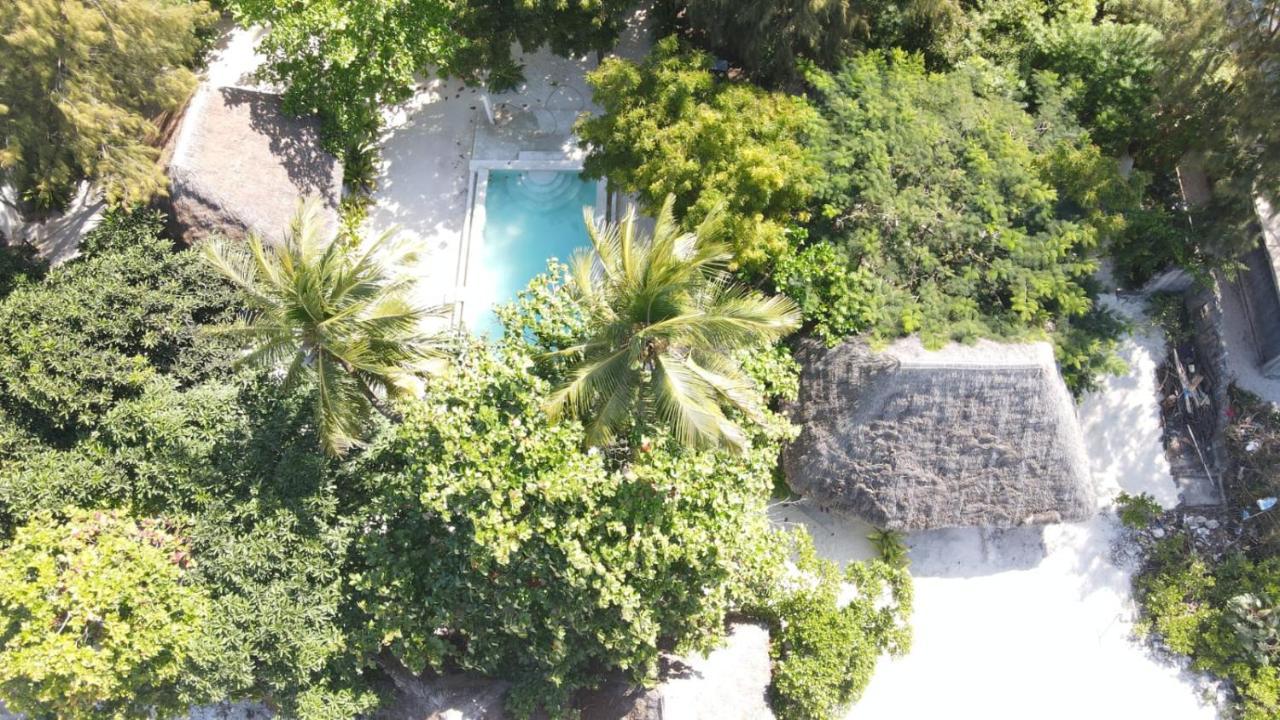 Garden Beach Bungalows Jambiani جامبياني المظهر الخارجي الصورة