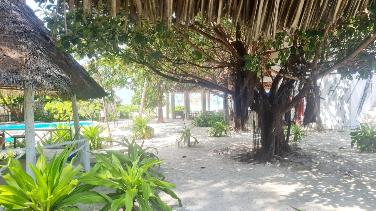 Garden Beach Bungalows Jambiani جامبياني المظهر الخارجي الصورة