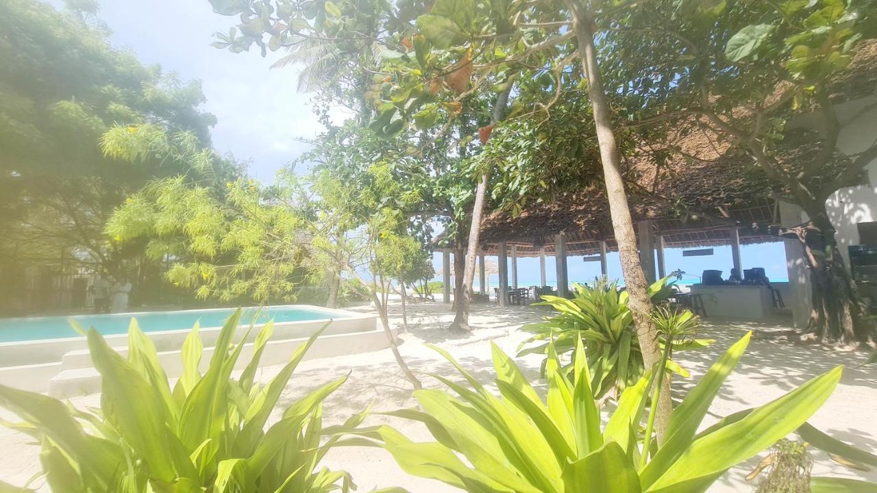 Garden Beach Bungalows Jambiani جامبياني المظهر الخارجي الصورة