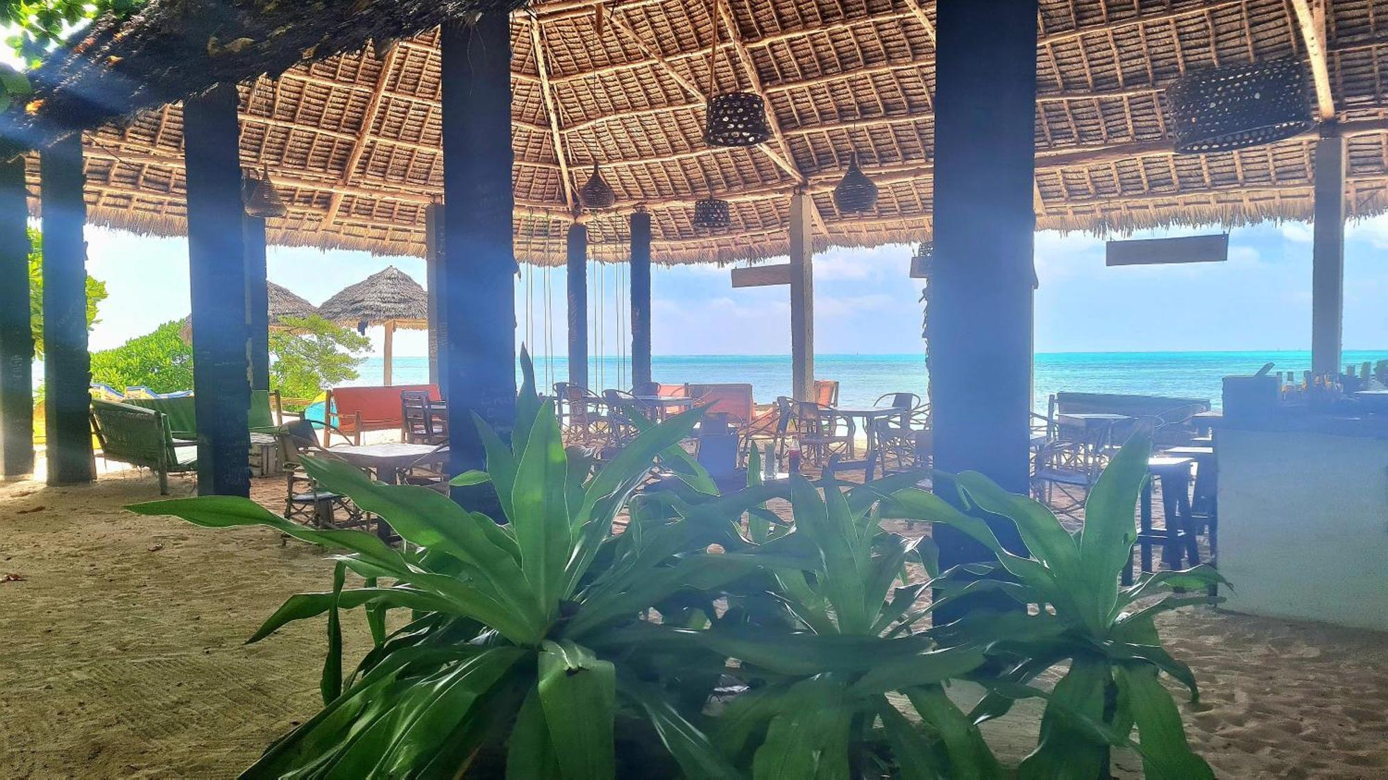 Garden Beach Bungalows Jambiani جامبياني المظهر الخارجي الصورة